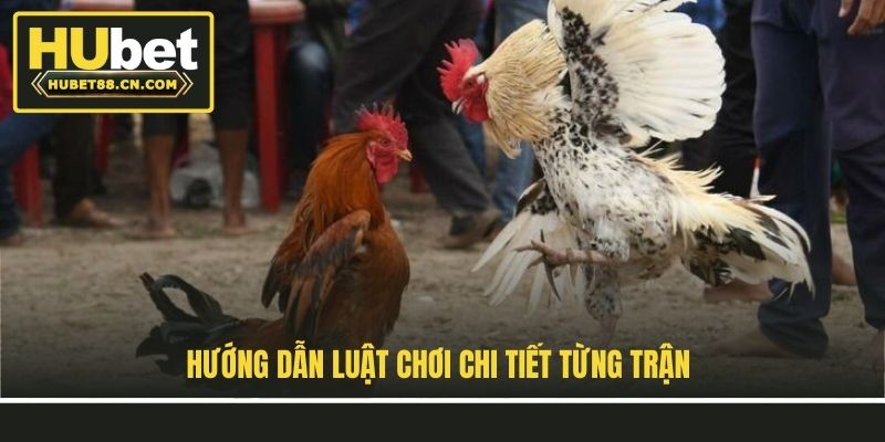 Hướng dẫn luật chơi chi tiết từng trận Hướng dẫn luật chơi chi tiết từng trận